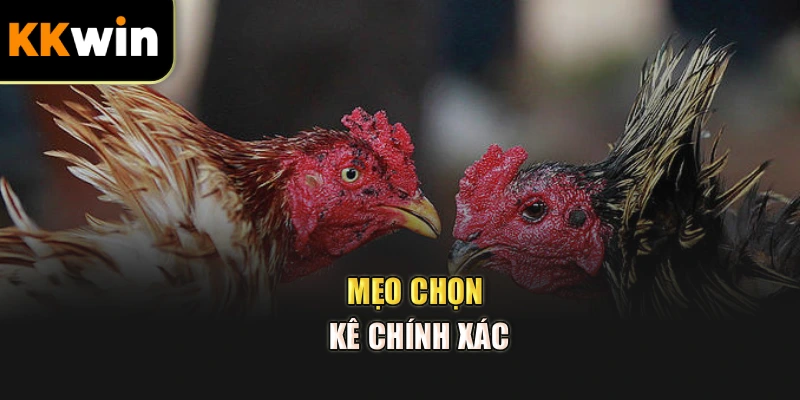 Mẹo chọn kê chính xác