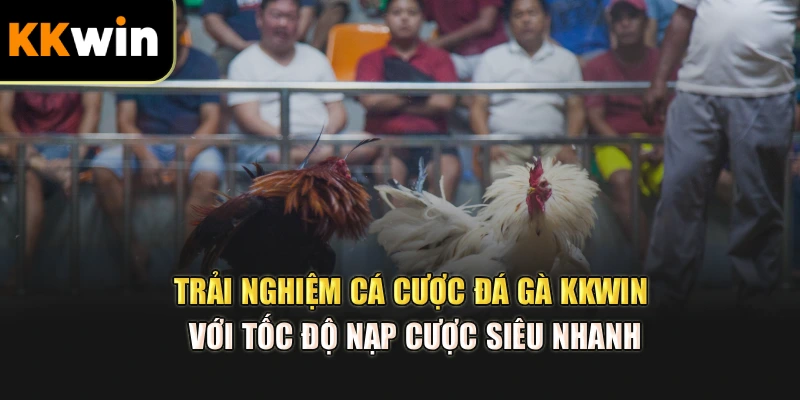Trải nghiệm cá cược đá gà kkwin với tốc độ nạp cược siêu nhanh